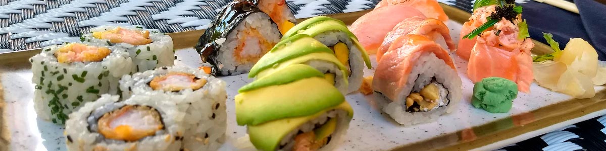 Sushi para Grávidas - 15 Peças